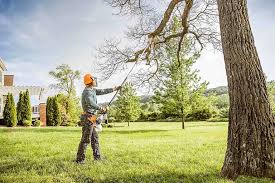 Best Utility Line Clearance  in Good Hope, AL