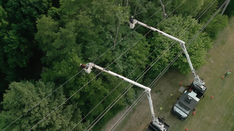 Best Arborist Consultation Services  in Good Hope, AL